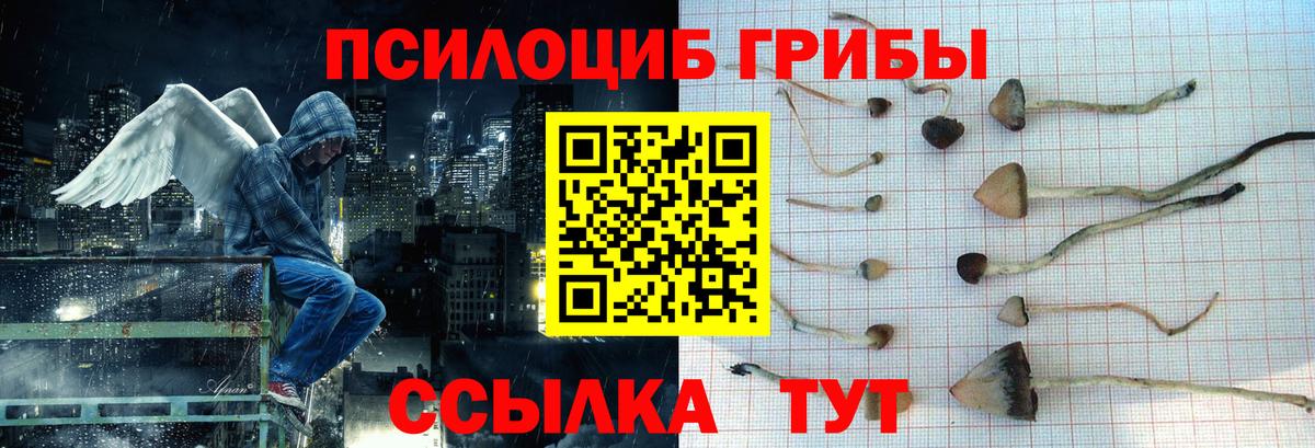 Барнаул  Галлюциногенные грибы Psilocybine cubensis  Вход с VPN 